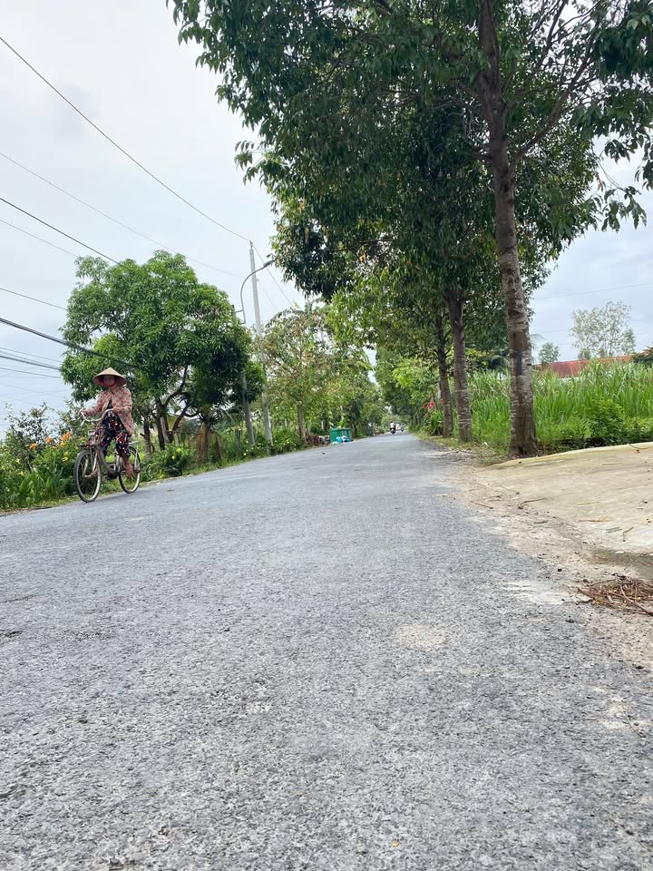 Đất mặt tiền đường huyện 35, xã Tân Long Hội, Vĩnh Long 217m² - Cơ hội kinh doanh tuyệt vời!