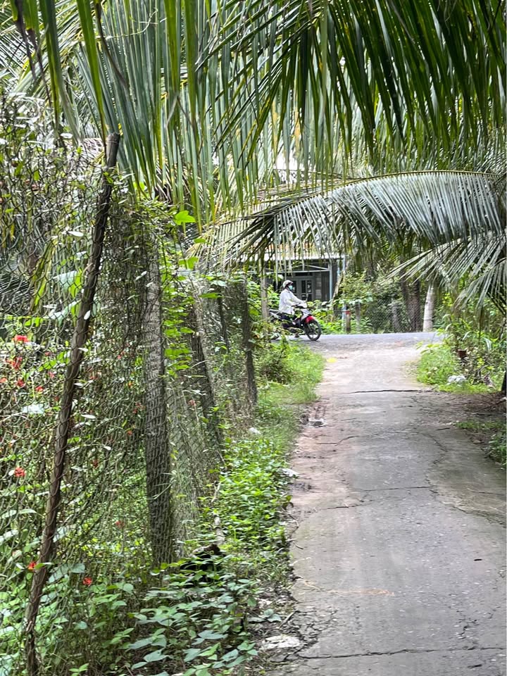 Đất nền liền kề mặt tiền Hiếu Liên, Vĩnh Long 162m² giá chỉ 270 triệu - Cơ hội đầu tư hấp dẫn!