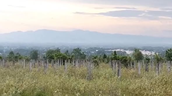 Đất nền xã Hàm Đức 1000m² giá chỉ 260 triệu - Đầu tư sinh lời ngay!