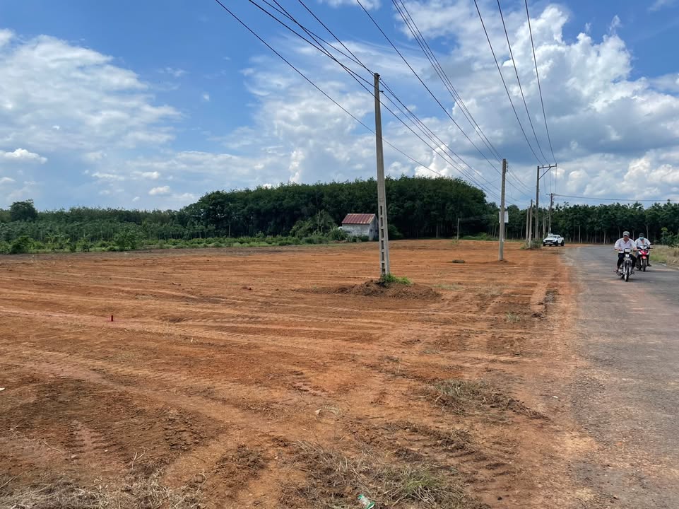 Đất nền Bình Tân Đồng Nai 300m² giá chỉ 300 triệu - Đầu tư sinh lời ngay!