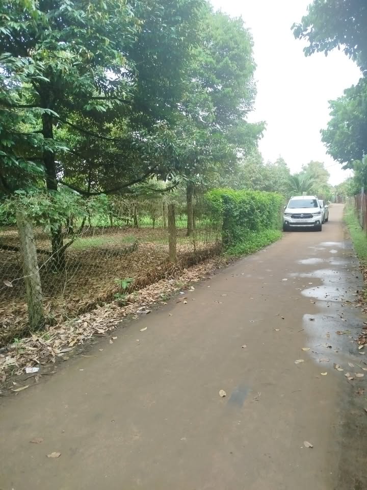 Đất nền Xuân Lập Long Khánh 250m² giá 1.64 tỷ - Đầu tư sinh lời ngay!