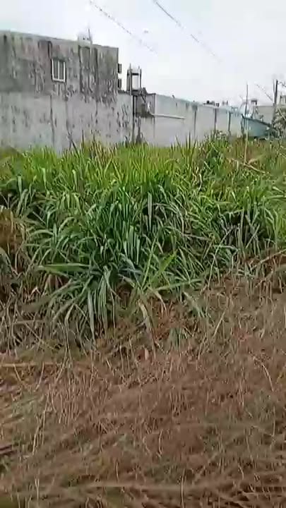 Đất nền An Phước Long Thành 270m² - Đầu tư sinh lời ngay!