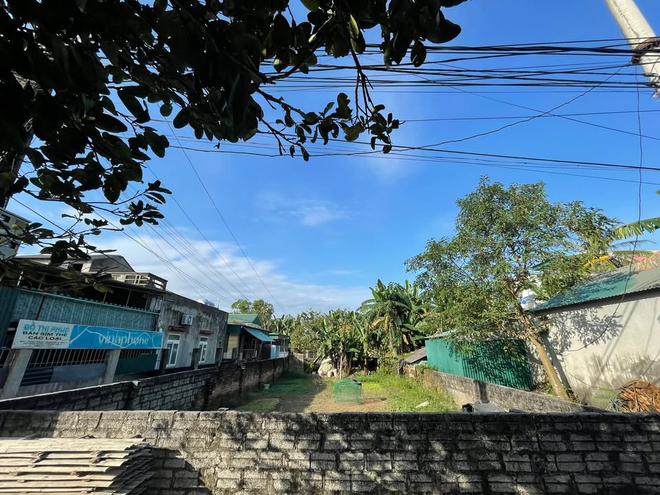 Đất thổ cư 2 mặt tiền Quảng Cát 169m² giá 1,3 tỷ - Đường thông ô tô vào tận đất!