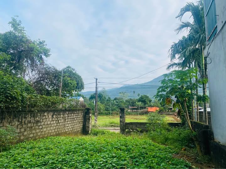 Đất Hợp Hoà - Lương Sơn 415m² chỉ 3 tỷ - Tiềm năng đầu tư sinh lời!