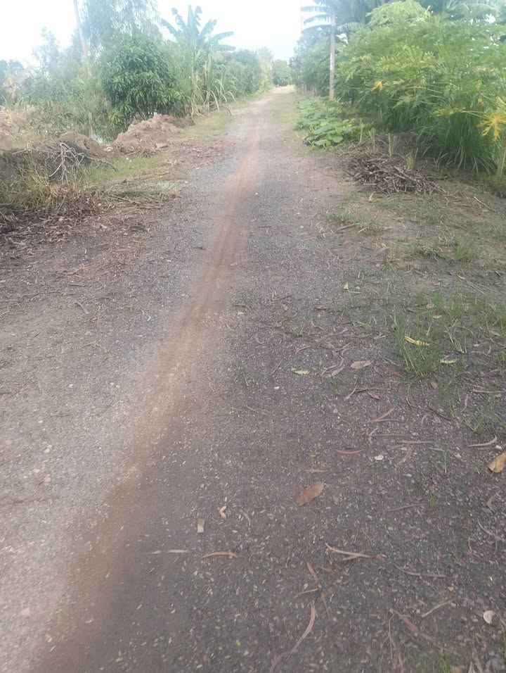 Đất mặt tiền Kinh 10, xã Vĩnh Châu, 10.000m² giá 6.75 tỷ - Cơ hội đầu tư hấp dẫn!