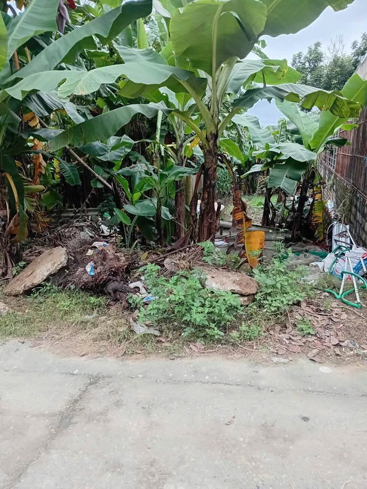 Đất nền Tùng Thiện, Sơn Tây 189m² chỉ 2 tỷ - Đường ô tô vào tận nơi!