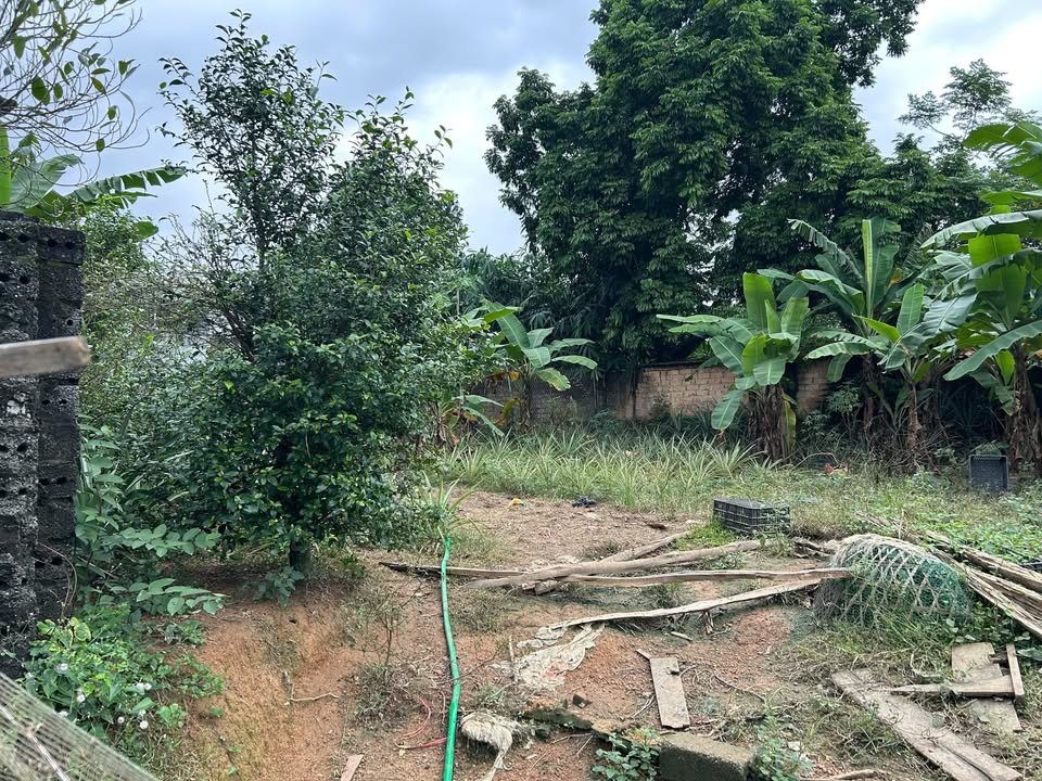 Đất nhà vườn 780m² tại Sơn Tây - View hồ tuyệt đẹp, đầu tư sinh lời!