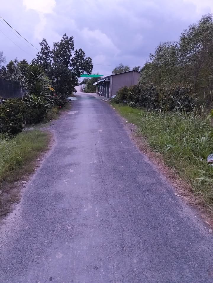 Đất nền 1020m² đường nhựa tại Hậu Mỹ Trinh - Giá chỉ 100 triệu/m ngang!