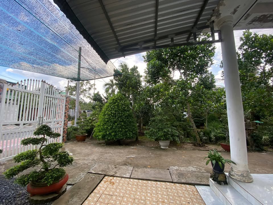 Nhà vườn nghỉ dưỡng Cái Bè 250m² giá 1.16 tỷ - An ninh tốt, sổ đỏ chính chủ!