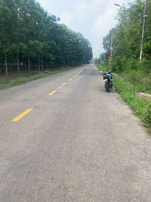 Đất nền mặt tiền DH508 Phú Giáo 1250m² giá 3 tỷ - Cơ hội đầu tư sinh lời!