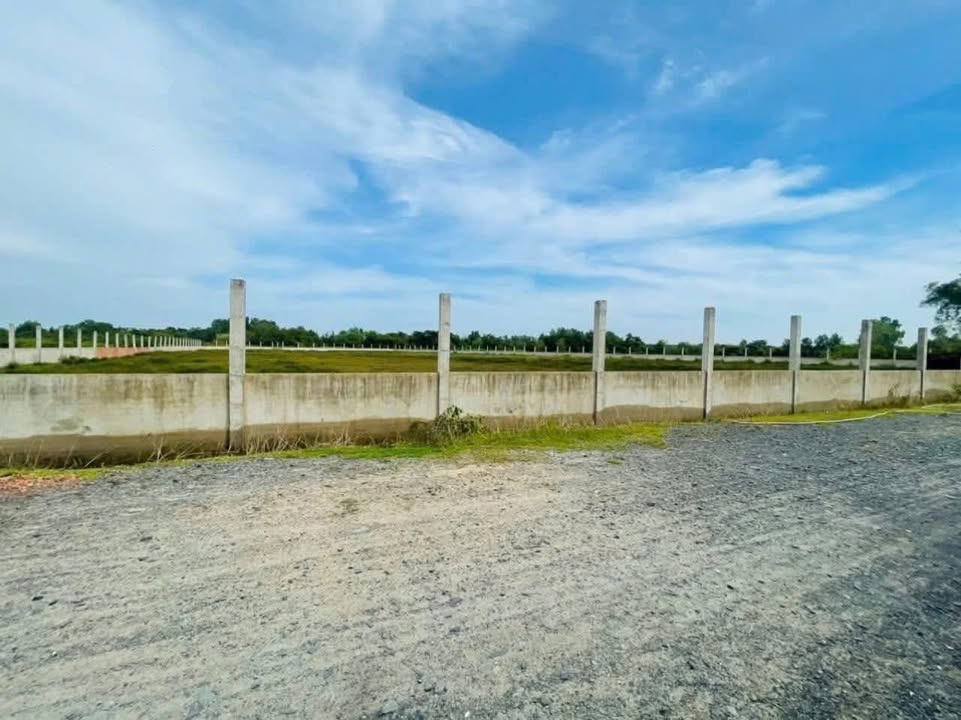 Đất nông nghiệp 12.080m² tại Cây Gõ, Củ Chi - Phù hợp làm trang trại!