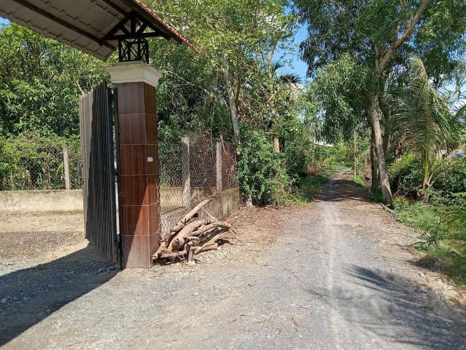 Đất mặt tiền Hưng Long, Bình Chánh 1000m² giá 4.3 tỷ - Cơ hội đầu tư tuyệt vời!