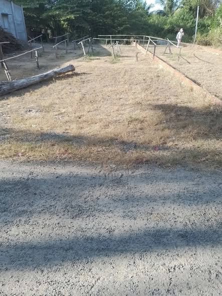 Đất thổ cư 206,6m² Phước Hải - Đất Đỏ chỉ 850 triệu - Khu vực dân cư sầm uất!