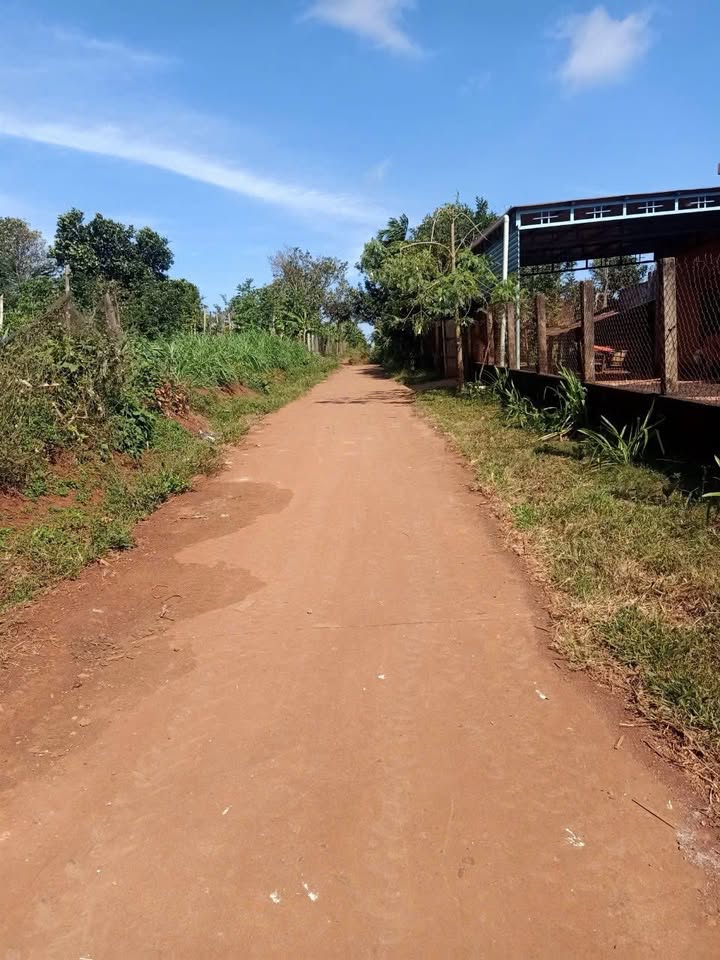 Đất thổ cư Ea Drông 200m² giá 550 triệu - Cơ hội đầu tư hấp dẫn!