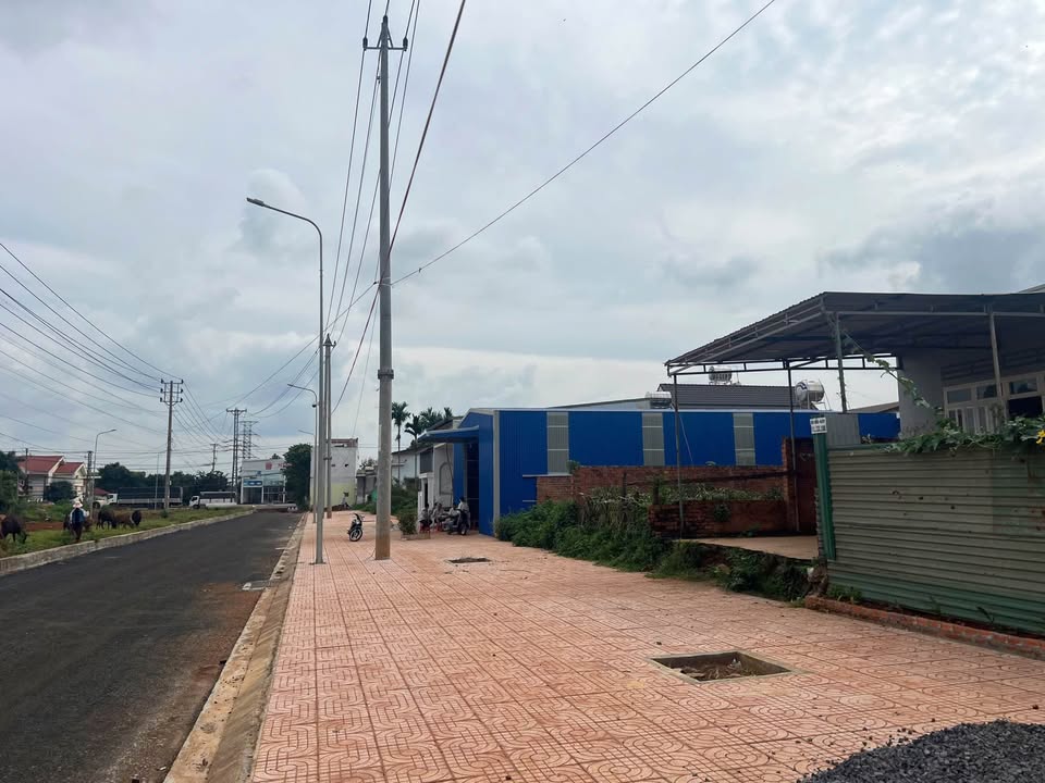 Đất nền TDP12 Phường Tân An 104m² giá 4.2 tỷ - Bán đất tặng nhà cấp 4