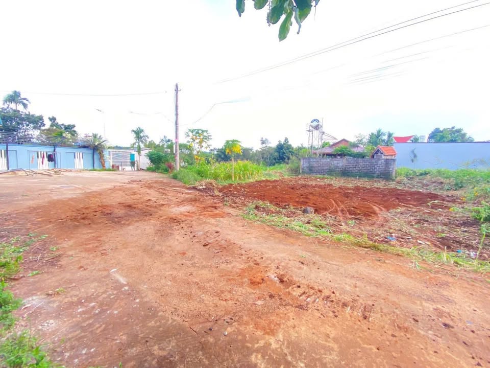 Đất liền kề Tân Lập 105m² giá 1.19 tỷ - Đối diện chợ đầu mối Tân Hoà!