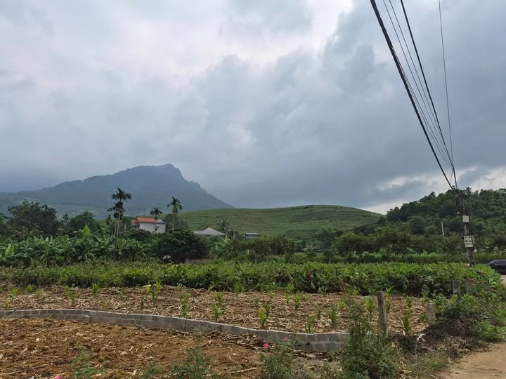 Đất Vị Thủy Sơn Tây 1127m² - Cơ Hội Vàng Cho Nhà Đầu Tư