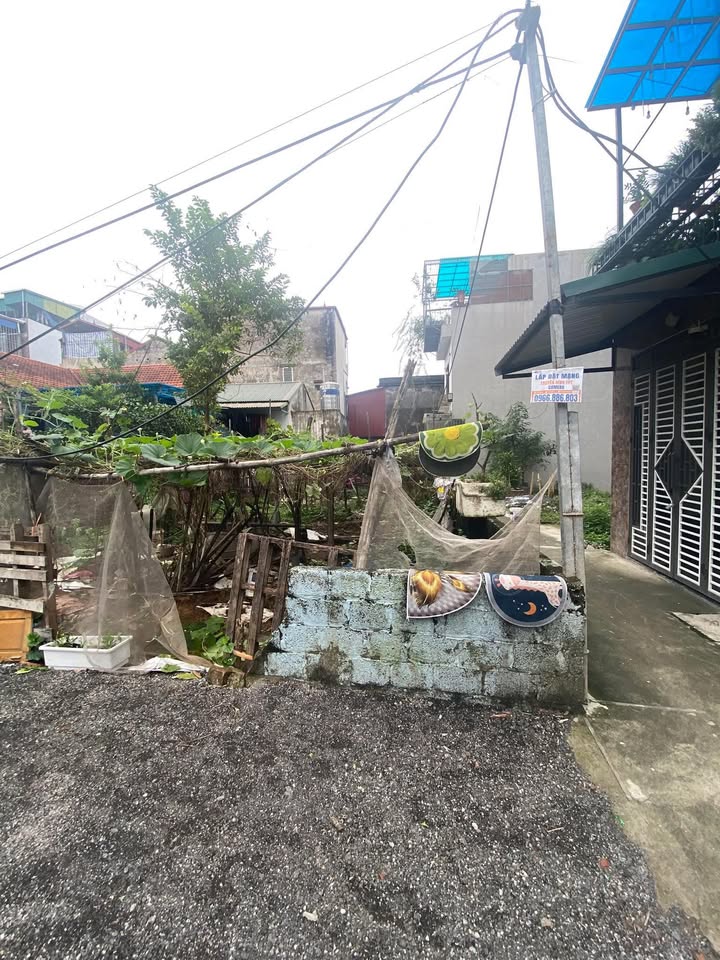 Đất nền Tả Thanh Oai 39m² giá thỏa thuận - Cơ hội đầu tư hấp dẫn!