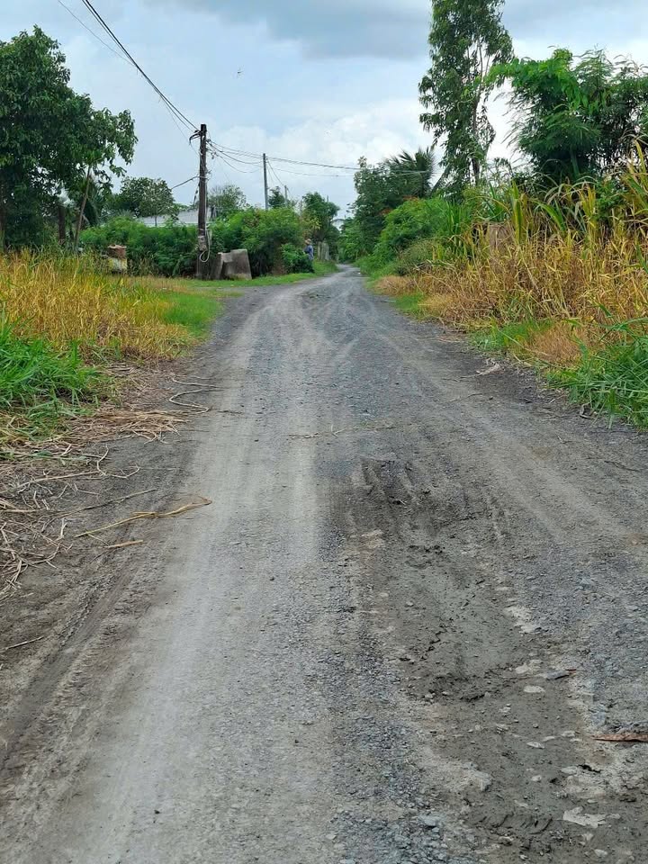 Đất mặt tiền đường ấp Giá Dưới, Kiểng Phước, Gò Công Đông 1707m² - Giá chỉ 85.35 tỷ, thích hợp nghỉ dưỡng!