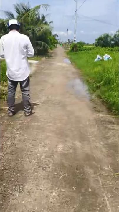 Đất nền Tân Thành Gò Công Đông 175m² giá 279 triệu - Cơ hội đầu tư sinh lời!