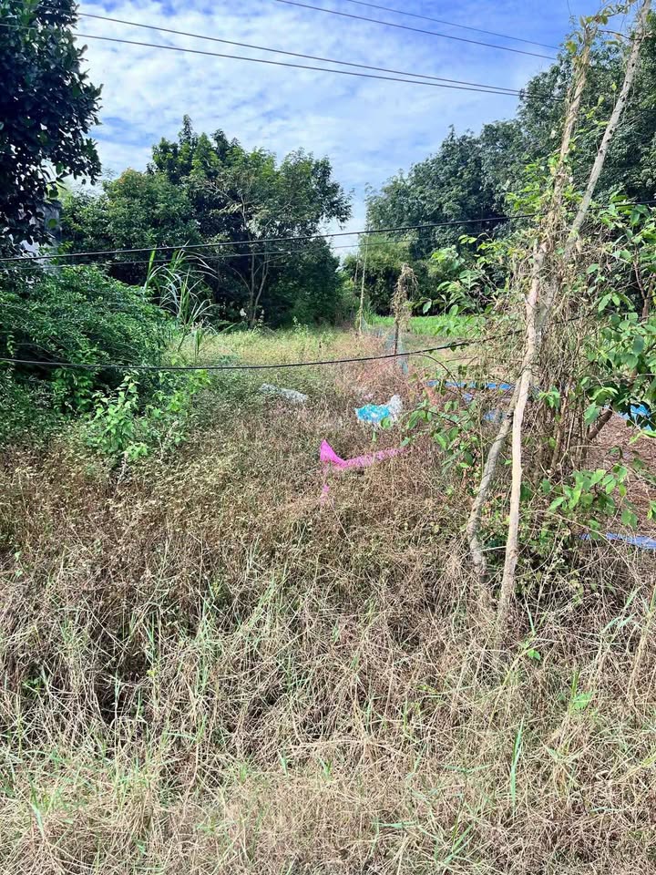 Đất ở An Nhơn Tây 360m² giá 1.7 tỷ - Vị trí thuận lợi ngay trục đường chính!