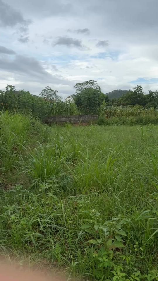 Đất nền Minh Đức Phổ Yên 600m² giá thỏa thuận - Lý tưởng nghỉ dưỡng view hồ