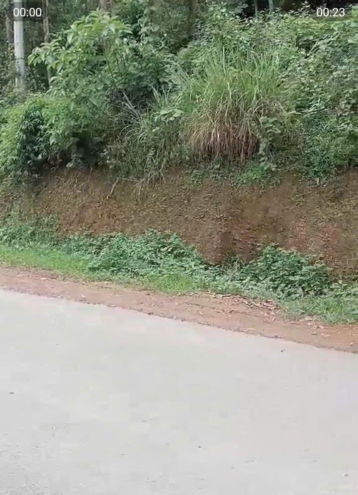 Đất nền Farm tại phường Kỳ Sơn, TP Hòa Bình 2000m² giá chỉ 4 tỷ - Cơ hội đầu tư tuyệt vời!