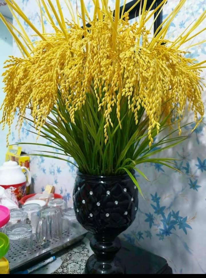 Nhà mặt tiền Quốc lộ 20, xã Phú Cường, 227.9m² giá 5.5 tỷ - Cơ hội đầu tư tuyệt vời!