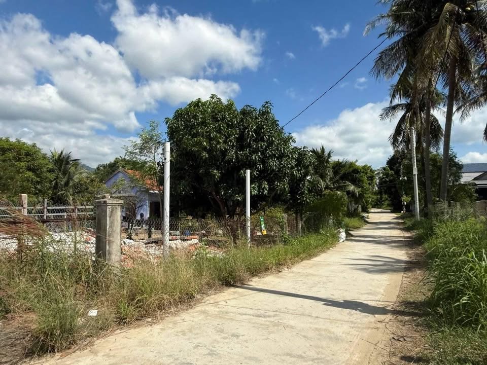 Đất thổ cư 3 mặt tiền Vạn Thắng 1335m² giá 3.204 tỷ - Tiềm năng đầu tư lớn!