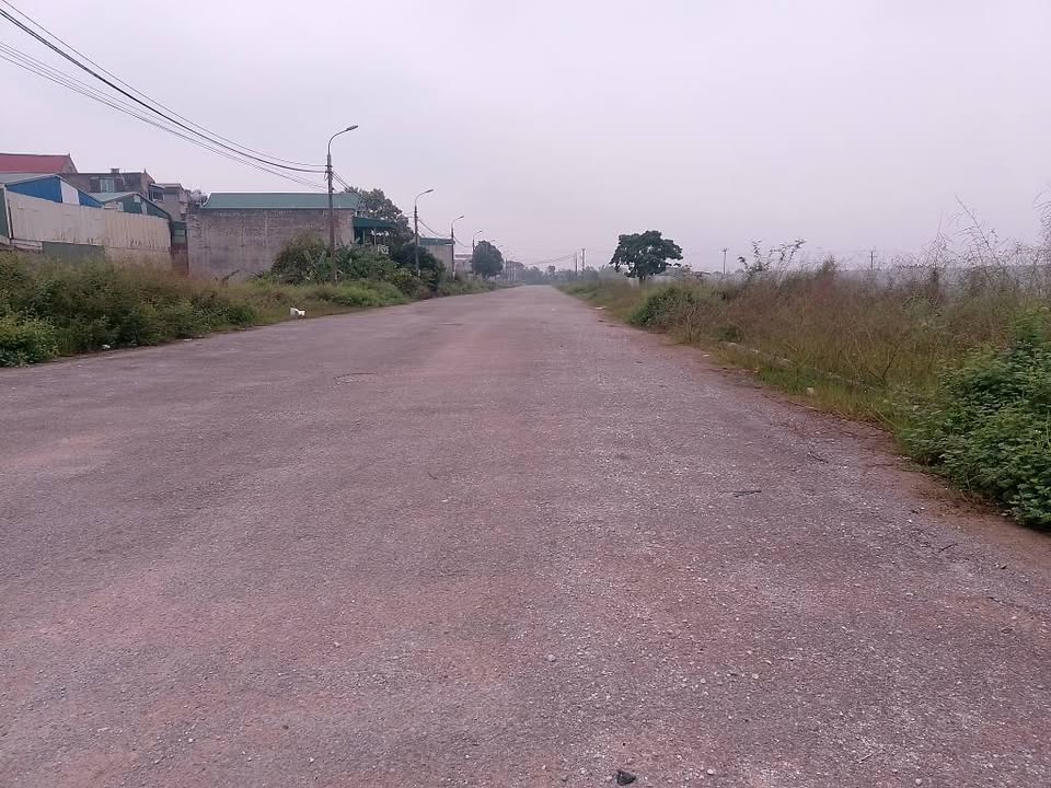 Lô đất đẹp tại phường Quảng Thịnh, TP Thanh Hóa 116m² giá chỉ 1.7 tỷ - Đầu tư sinh lời ngay!