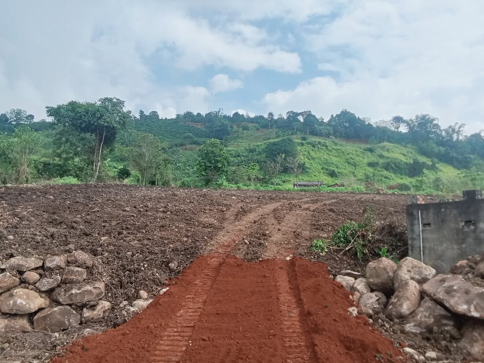 Đất nền Liên Hà 3600m² giá 350 triệu - View sông Đồng Nai thơ mộng!