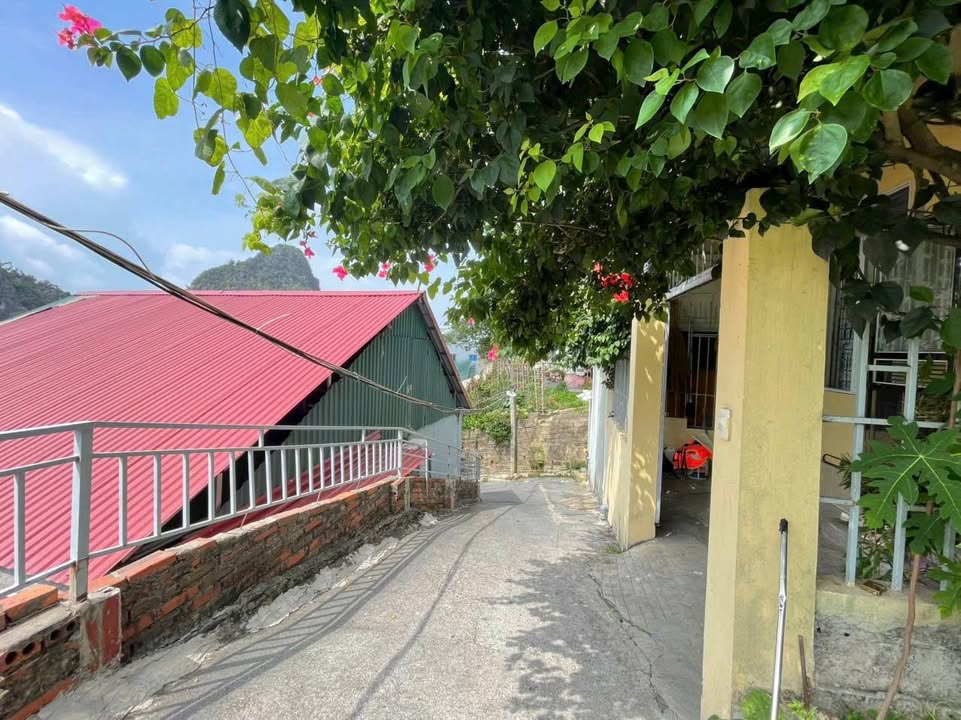 Đất nền Phường Hồng Hà Hạ Long 70m² giá 1.2 tỷ - Cơ hội đầu tư hiếm có!