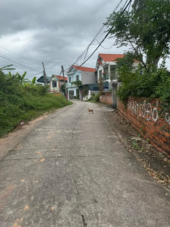 Đất Hà Khẩu Hạ Long 887m² - Cơ hội đầu tư sinh lời tuyệt vời!