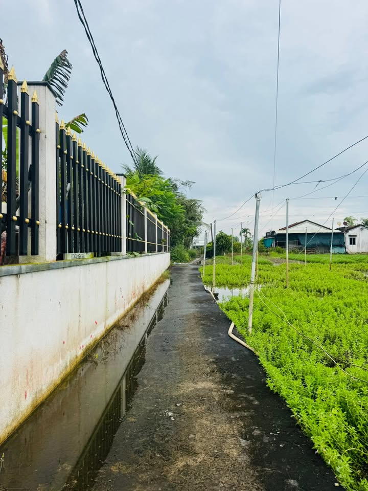 Đất nền Mỹ Lộc, Cần Giuộc 100m² giá 630 triệu - Sổ đỏ chính chủ, đầu tư lý tưởng!