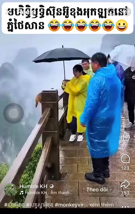 Nhà 2 lầu An Phú 65m² giá 3.6 tỷ - Cơ hội vàng cho bạn!