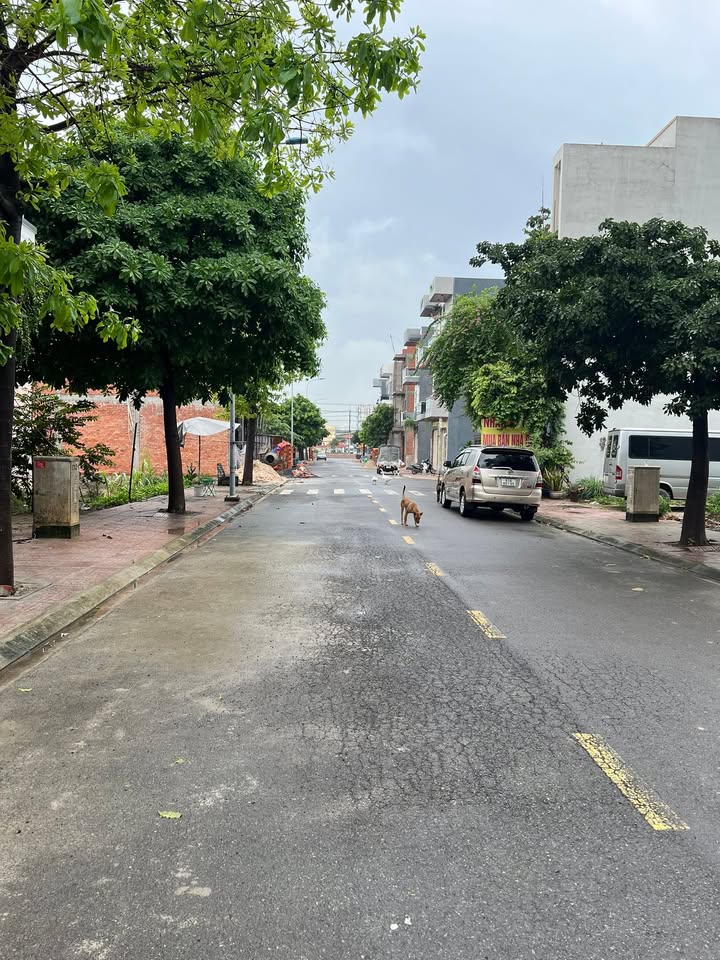 Nhà riêng An Phú Tân Uyên 67m² giá 4.85 tỷ - Sẵn sàng vào ở ngay!