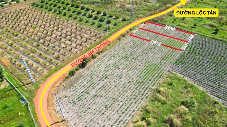 Đất thổ cư Lộc Ninh 130m² giá 200 triệu - Đường ô tô vào tận nơi!