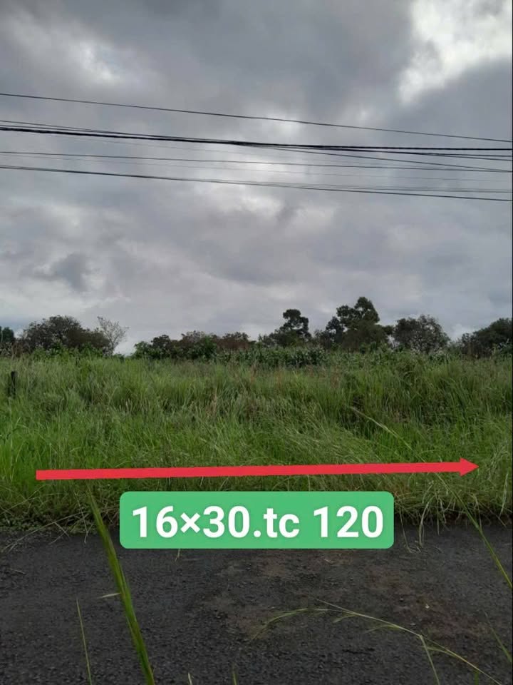 Đất thổ cư 480m² đường Nguyễn Ái Quốc giá 1.09 tỷ - Cơ hội đầu tư tuyệt vời!