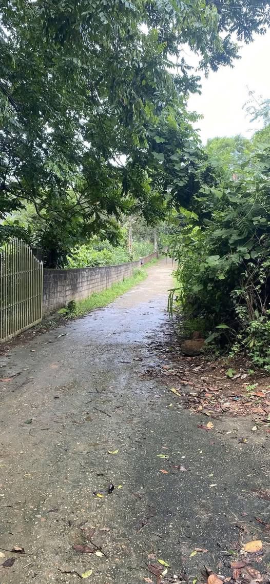 Đất thổ cư Tuyên Quang 320m² - Đường ô tô vào tận nơi, giá thỏa thuận!