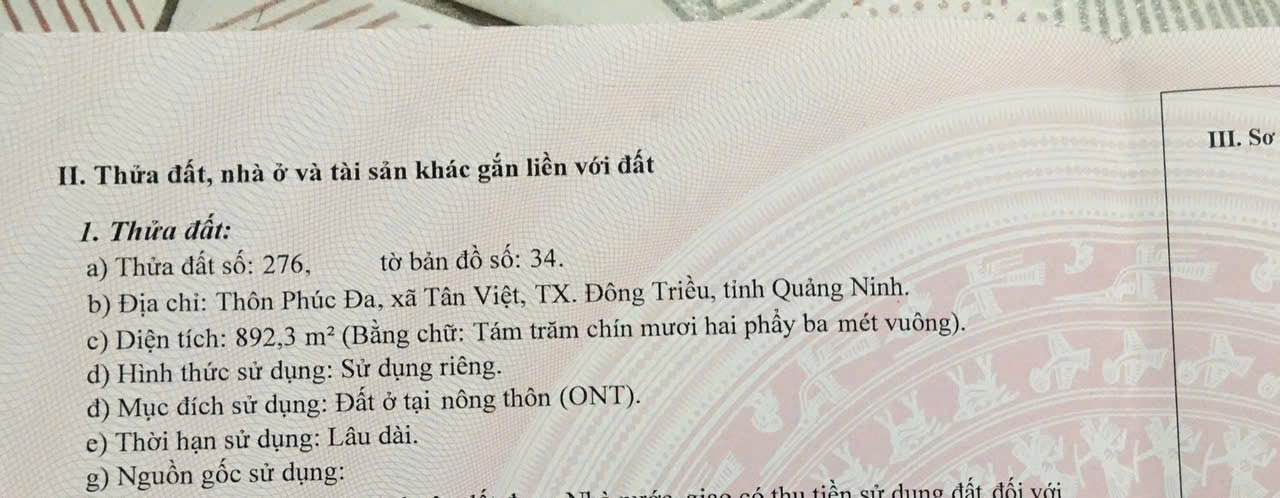 Đất xây dựng 892m² tại Tân Việt, Đông Triều - Cơ hội đầu tư hấp dẫn!