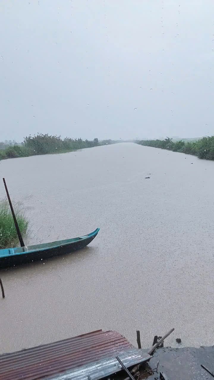 Đất tôm lúa 16.000m² tại Đông Thạnh, An Minh - Giá 1.68 tỷ, thương lượng nhẹ!