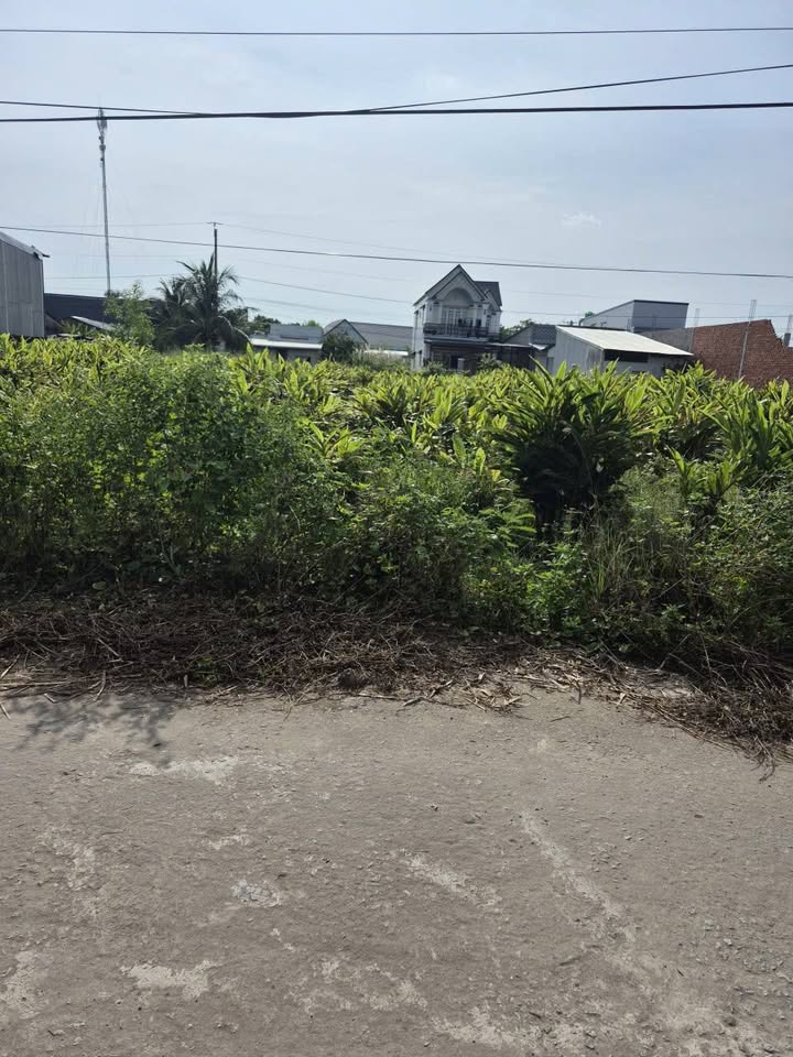 Đất nền kinh doanh tại Thạnh Lộc, 184m² giá 1.2 tỷ - Đầu tư sinh lời ngay!