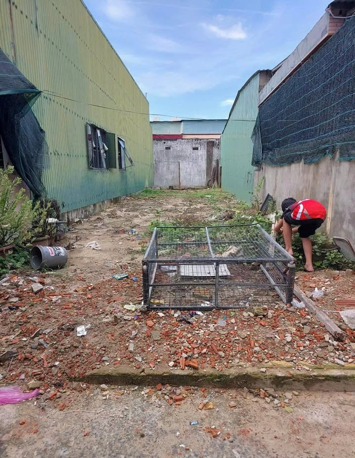 Đất kiệt Tôn Đản, Hòa An 111.5m² giá 3.45 tỷ - Khu vực sầm uất, đầu tư sinh lời!