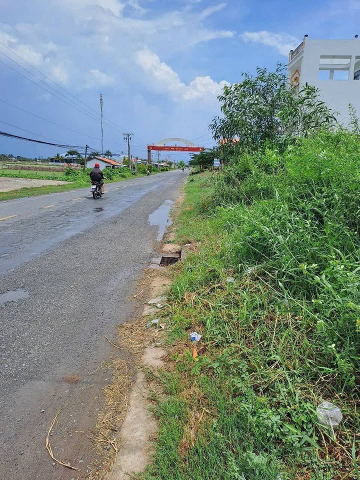 Đất lúa 8000m² tại xã Mỹ Thạnh, huyện Thủ Thừa, Long An - Giá chỉ 3.2 tỷ - Thương lượng nhẹ!