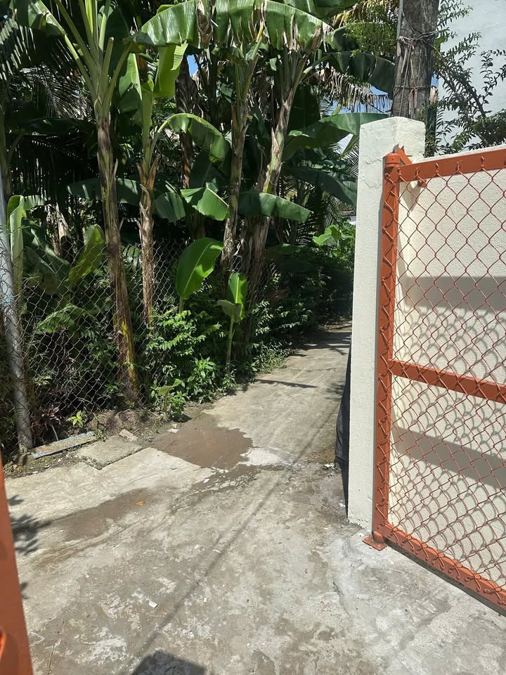 Nhà cấp 4 100m² tại ấp 1A, xã Thanh Phú, Bến Lức - Giá chỉ 1.4 tỷ, thương lượng!