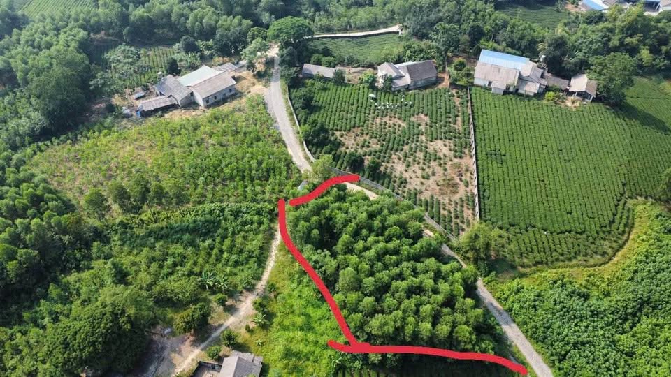 Đất Cù Vân Đại Từ 1000m² giá 400 triệu - Mặt tiền rộng, đầu tư sinh lời!