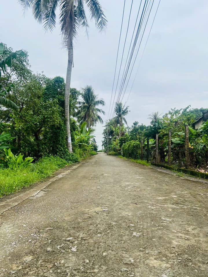 Đất nền Tiên Trang, Quảng Xương 100m² giá 400 triệu - Sổ đỏ chính chủ