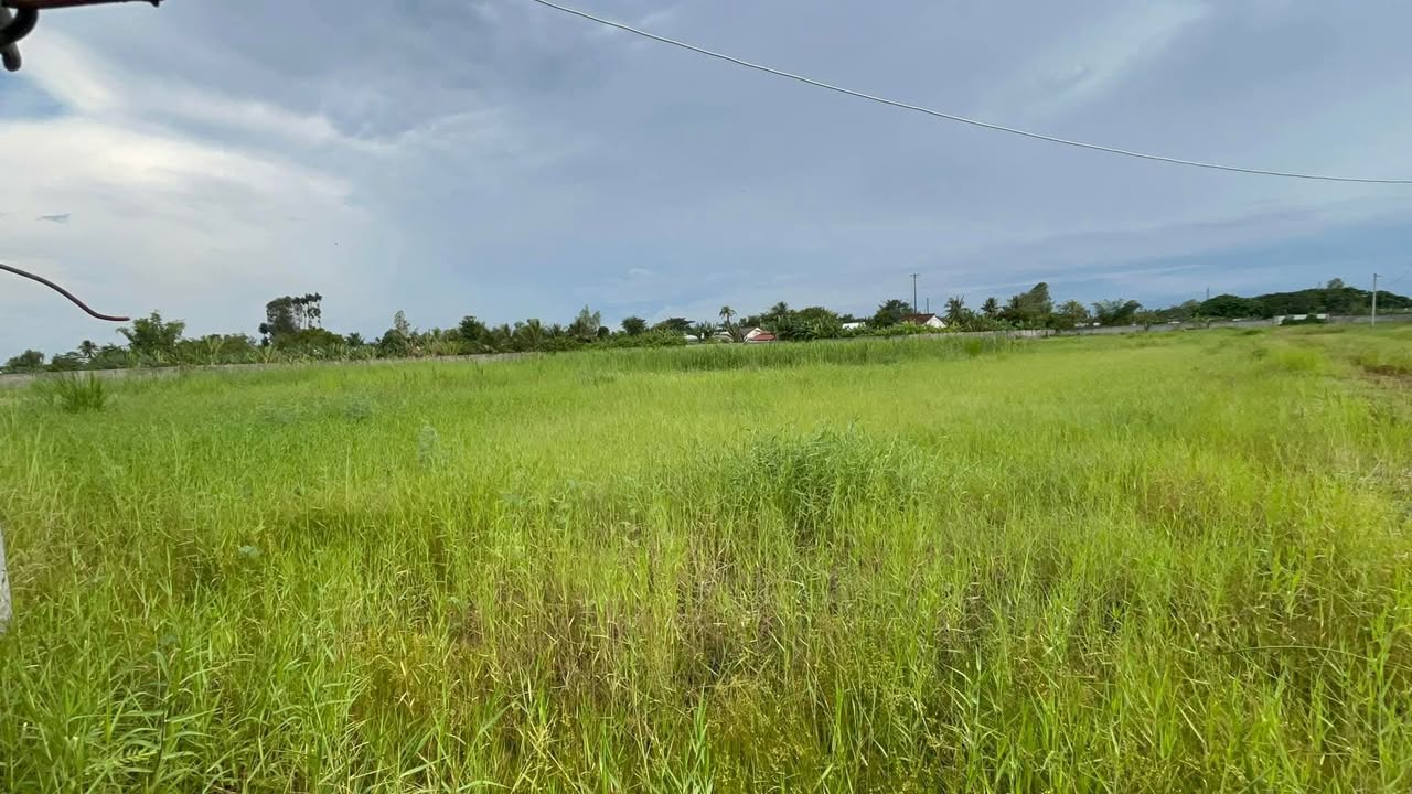 Đất nền 4000m² Vĩnh Thạnh, Lấp Vò, Đồng Tháp giá 2.9 tỷ - Đầu tư sinh lời ngay!