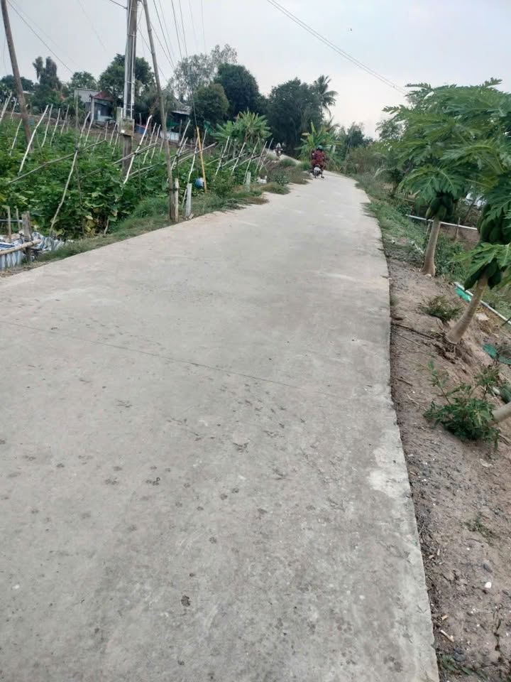 Đất nền mặt tiền xã Tân Mỹ, huyện Thanh Bình, Đồng Tháp 200m² giá 350 triệu - Đầu tư sinh lời ngay!