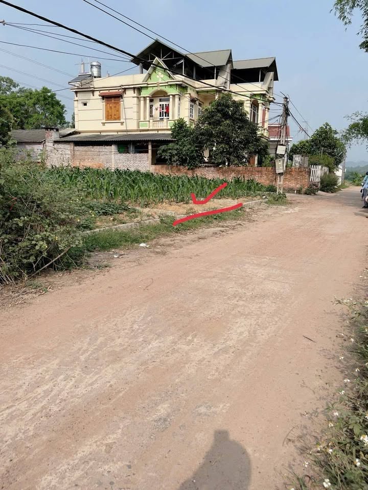 Đất thổ cư Đạo Tú, Tam Dương 100m² - Giá F0, nhanh tay sở hữu!